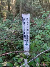 Property is adjacent to Tahuya State Forest.