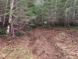 The beginning of the easement to get to Lot 1.