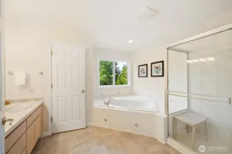 Primary bath suite with glass shower, large soaking tub, seperate toillet room and double sinks. Spacious is the word.