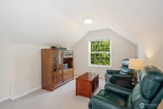 Another picture of the guest/2nd primary bedroom or bonus area. Living at its finest