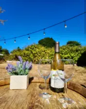 Outstanding Outdoor Spaces - ENJOY!
