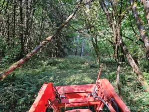 A few trails through the property. Old perc test holes can still be found.