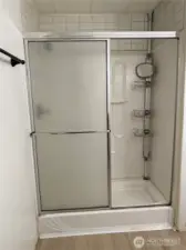 Main bath shower