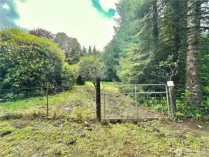 Back yard, fenced.