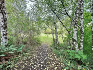 Down to lower field
