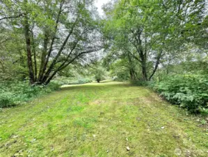Lower field