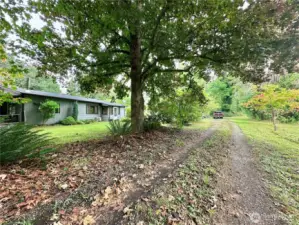 Driveway