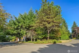 Nice corner lot with the driveway coming off of a quiet dead-end street.
