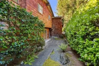 Outdoor space in back of the house.