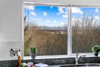 I dont' know about you, but I'd get lost in the view while doing the dishes...