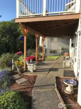 Gorgeous plantings out back