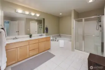 Primary suite 5-piece bathroom offers a soaking tub, & dual closets.