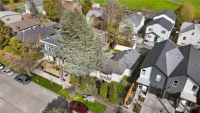 Aerial view of the front of the house (between the two sets of townhomes on either side). Excellent large level fenced lot.