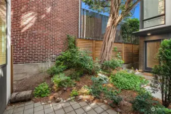 Beautiful patio right off the kitchen! Bulbs galore and mature tree.