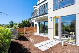 Full sun Backyard!