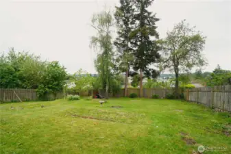 Large backyard