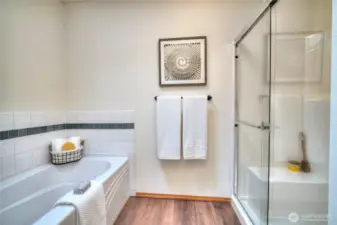 Spa-like soaking tub and step-in shower