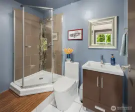 A convenient lower-level ¾ bath includes contemporary finishes, a large step-in shower with sleek glass doors, and elegant tile work—perfect for guests, multigenerational living, or private home office access.