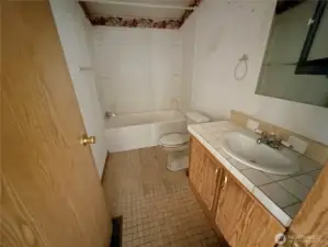 Main Bath