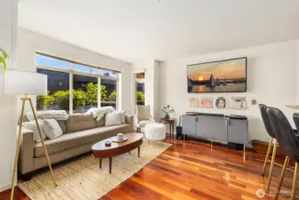 Sun filled living room