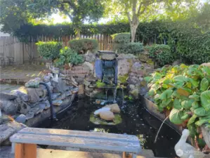 Upper level backyard full size fountain and Koi pond.