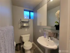 Lower level full bath.