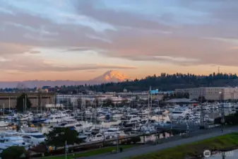 Views from the deck truly don't get any better!