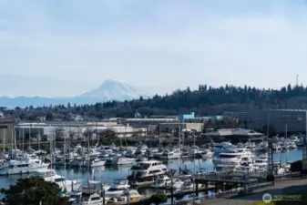 Another beautiful view from your balcony