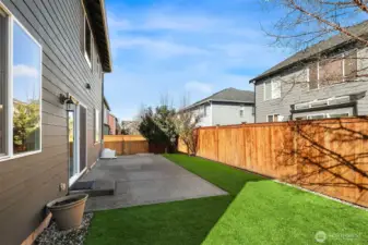 Backyard with Turf