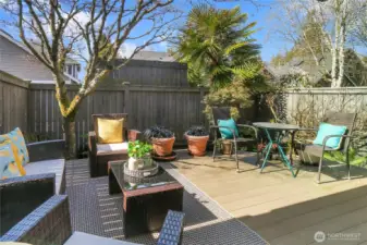 Deck in fenced backyard