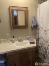 Bathtub shower combo