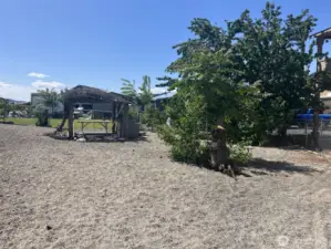 Picture of the entire yard with a big cheery tree.