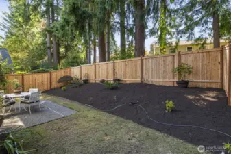 Beautifully maintained back yard