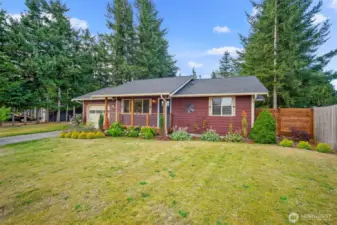 Large lot with evergreen trees