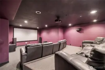 Home Theater Rec Room