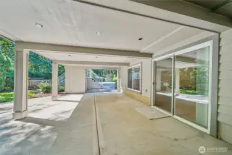 Lower Patio