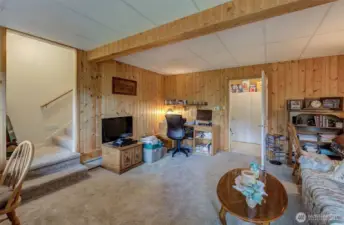 Lower level family room is cozy, spacious and versatile.