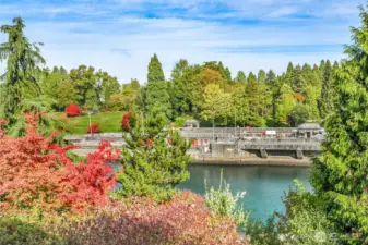 Picture this as your everyday view—welcome to Lockshore Condominiums! Ideally located near several parks, a convenient kayak launch, and the stunning Botanical Gardens. Enjoy an easy walk to NW Market Street, where you’ll find great dining, shopping, and local charm.