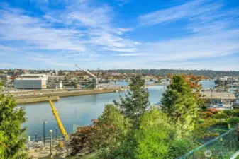Right across from the Ballard Locks, there’s always something fun to see—boats, wildlife, and the beauty of the water just outside your window!