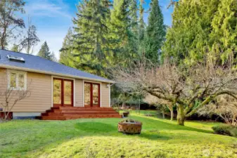 Views of the side yard with gorgeous apple trees, and sit around the firepit.