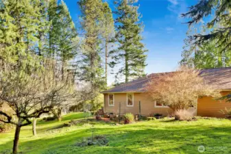 Back yard view of the fenced in garden area for flowers and vegetables. Fruit and flowering plants and trees are staring to bud for spring!