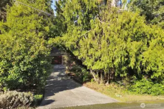 Street entry provides privacy from the street and you experience entering your natural oasis.