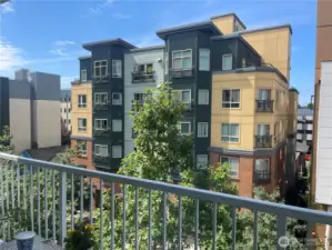 View from deck facing east