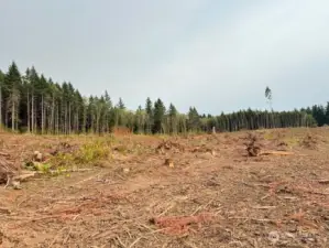 Soil report indicates gravity septic