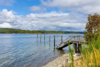 Beautiful views of the Olympics to enjoy beachcombing, clams & oysters