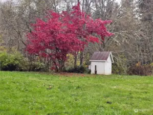 Chicken Coop