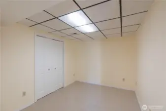 Den/Office Lower Level