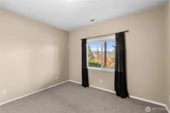 Lower level bedroom