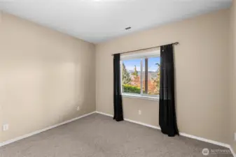 Lower level bedroom