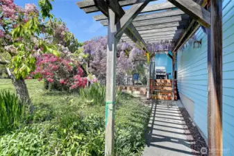 Enchanting entrance w/ a walkthrough wisteria arbor.